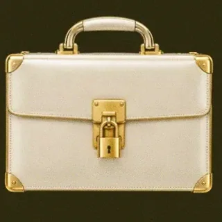 Locked leather briefcase — Betzillo