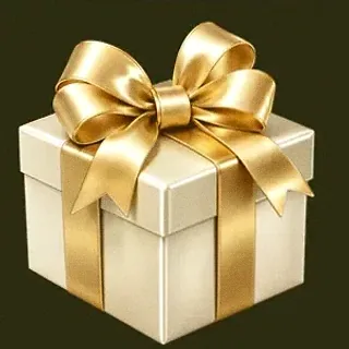 Luxury gift box — Betzillo